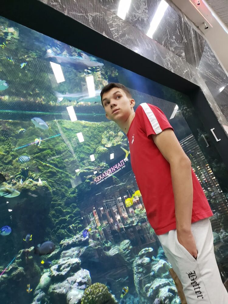 ���������� ������, ���� ����� ���������, 22 ����, ������������ ��� ������, ����� � ���������, c�������� ���������, ���������