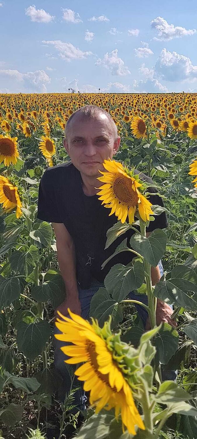 ���� 39246104 ������� ������, 43 ����, ���� ���������� � �������-��-����