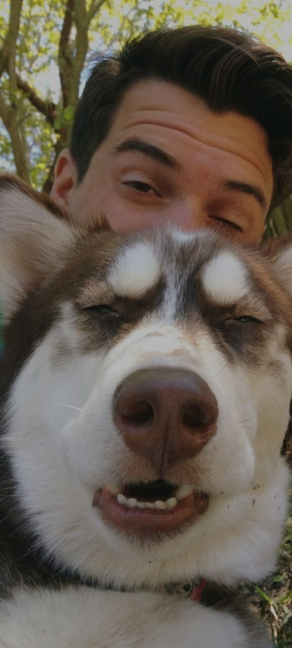 ���������� ������, ���� ������� ��������, 48 ���, ������������ ��� ������, ����� � ���������