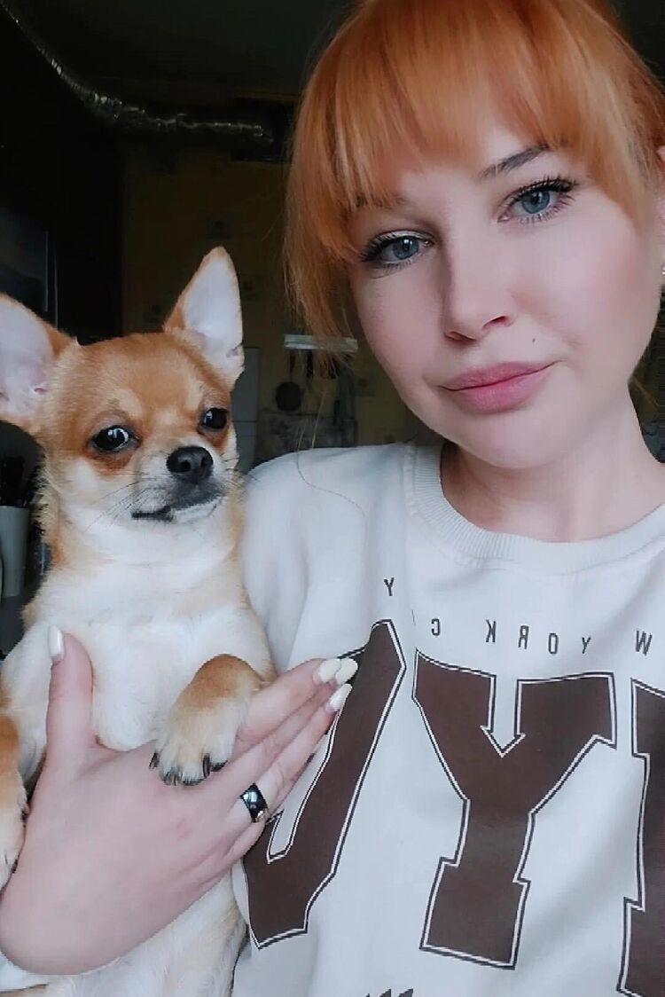 ���������� �����, ���� ������� ���, 36 ���, ������������ ��� ������, ����� � ���������, ���������