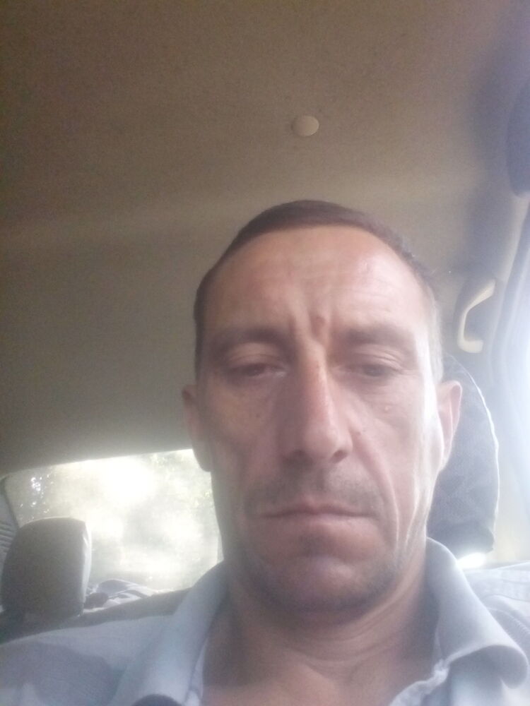 ���� 10037604 ������� �����, 52 ����, ���� ���������� � ����������