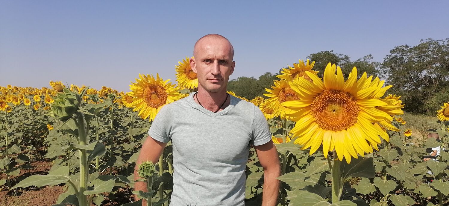 ���� 27799854 ������� ������, 36 ���, ���� ���������� � ����������