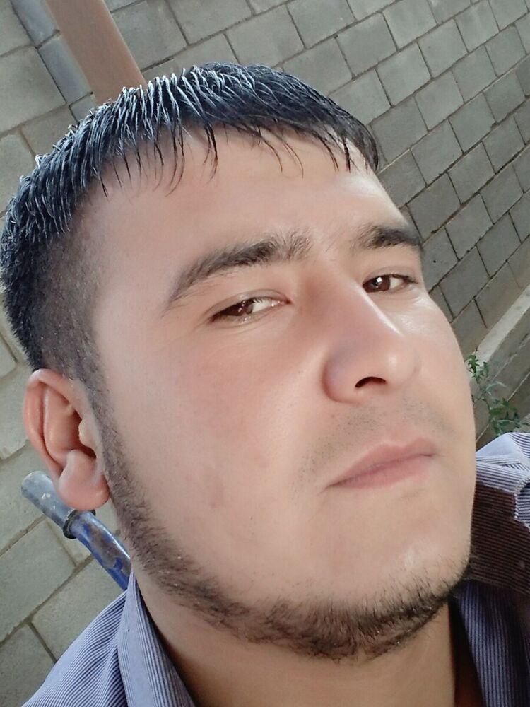  20434684  , 31 ,    