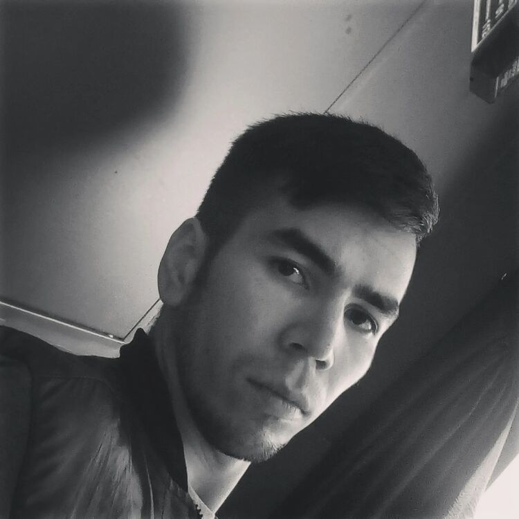 ���� 38645074 ������� ����, 27 ���, ���� ���������� � ������