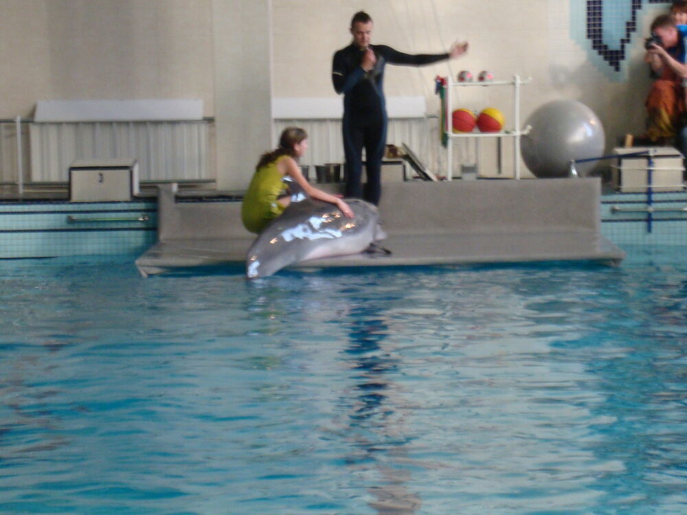 ���������� ������, ���� ������� �����, 47 ���, ������������ ��� ������, ����� � ���������, c�������� ���������