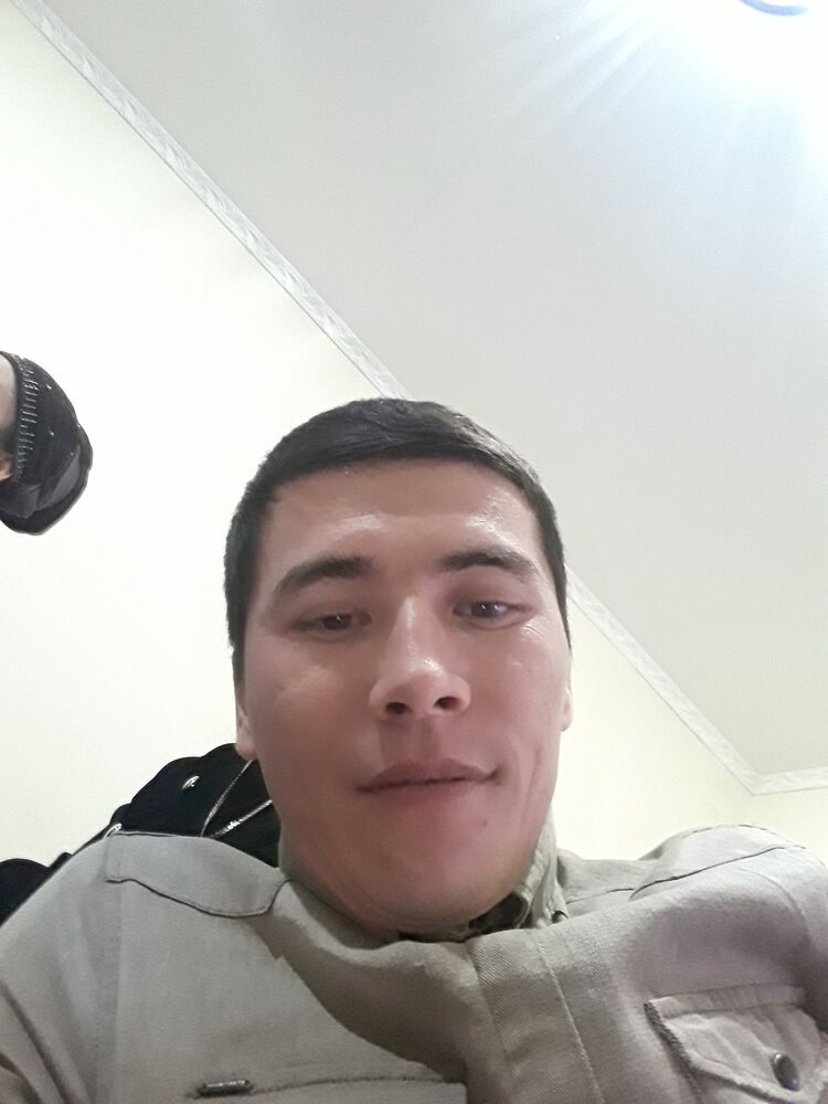  23955494  , 31 ,    