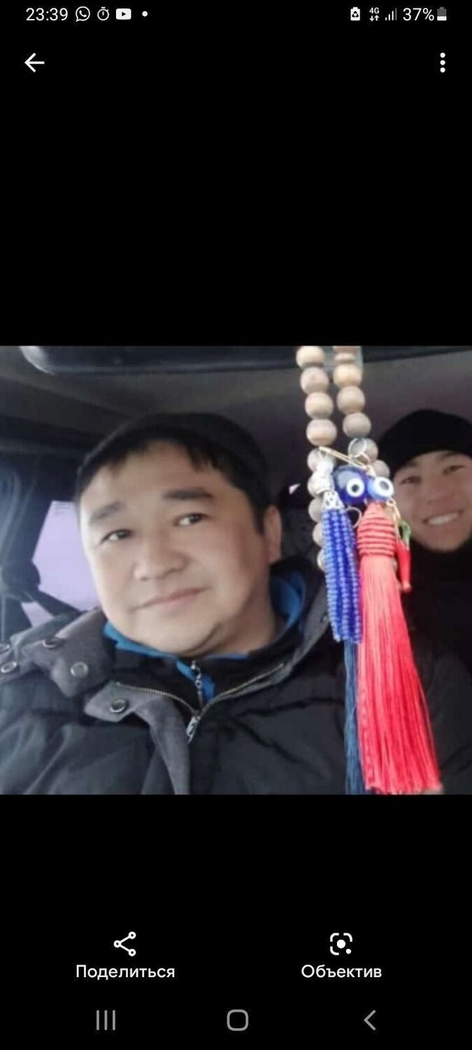  26228554  , 43 ,    