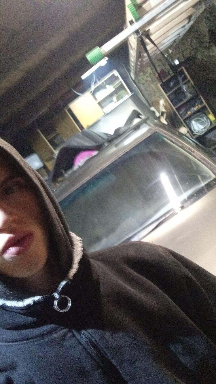  31750274  , 23 ,    
