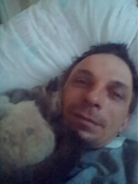  ,   , 44 ,   
