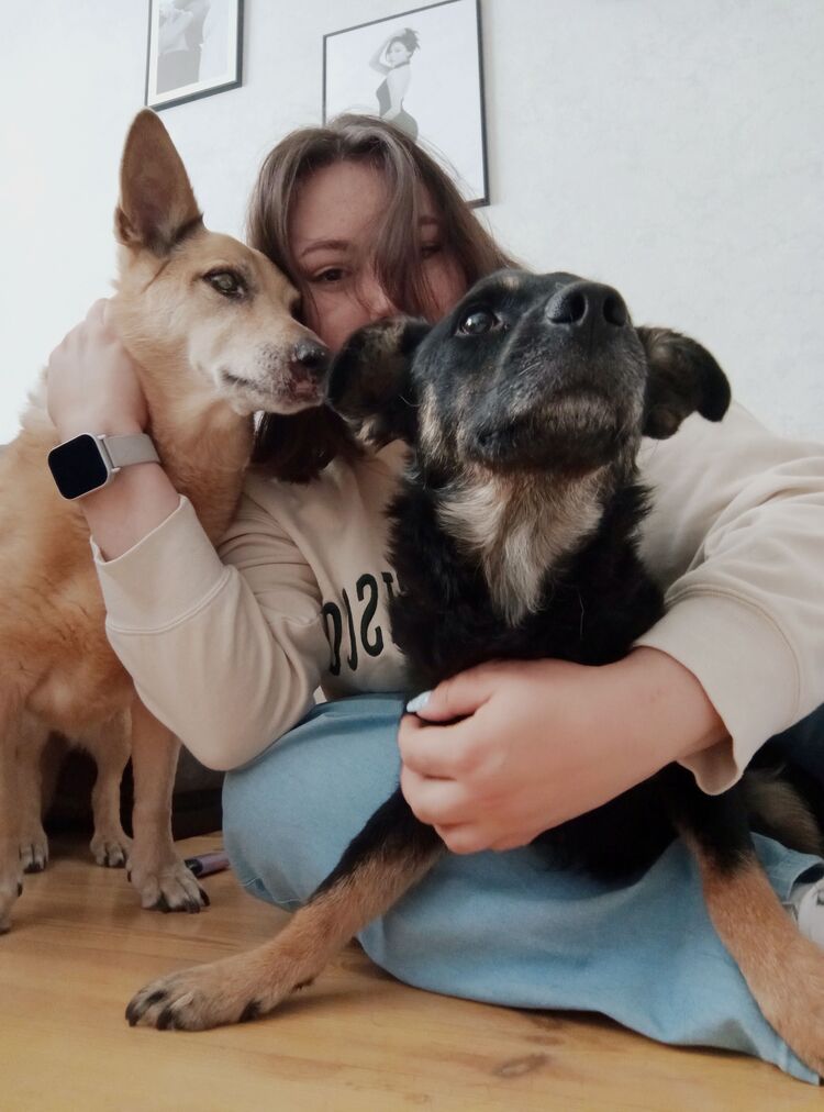  ,   Dor, 24 ,   ,   , c 