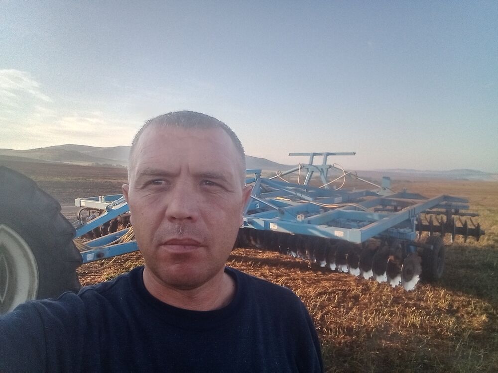  53719584  , 39 ,    -