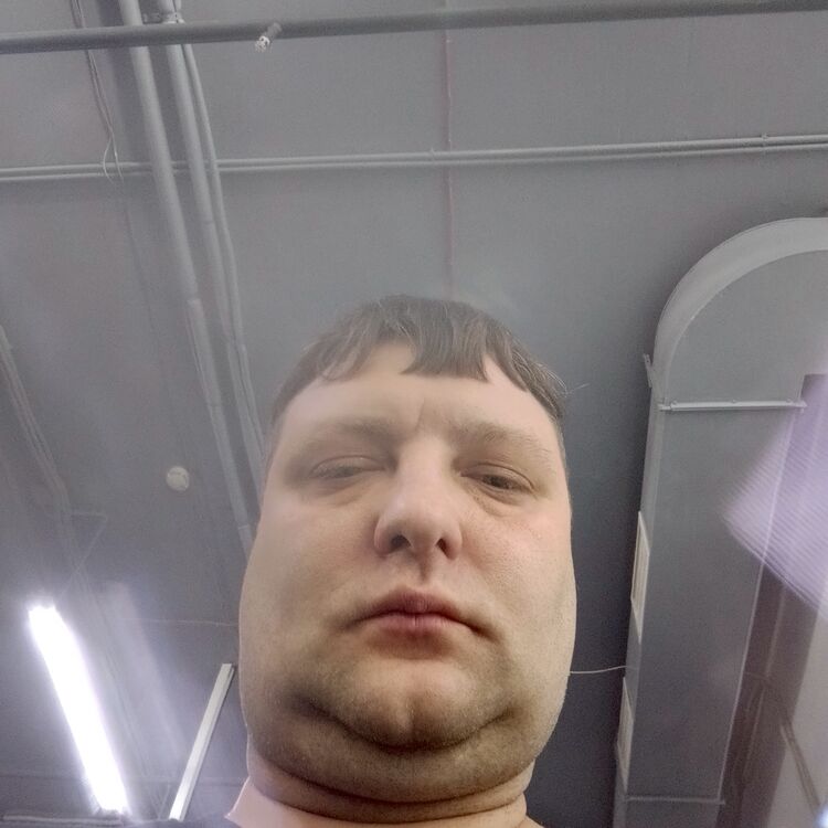 ���������� ������, ���� ������� �������, 38 ���, ������������ ��� ������, ����� � ���������