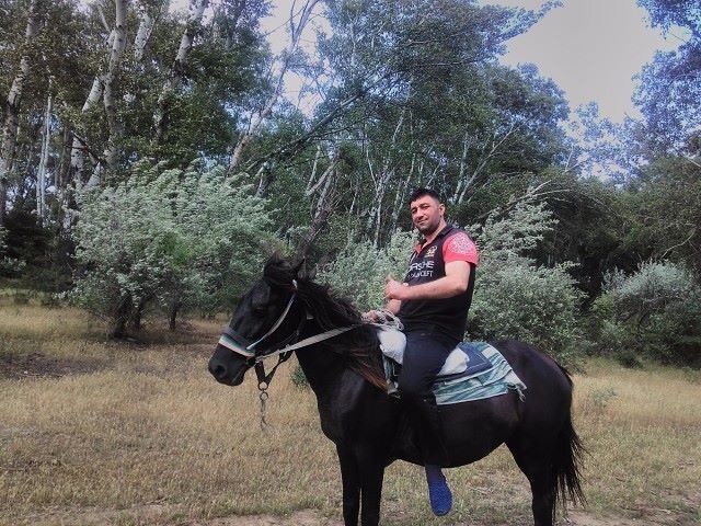  ,   UFC, 38 ,   