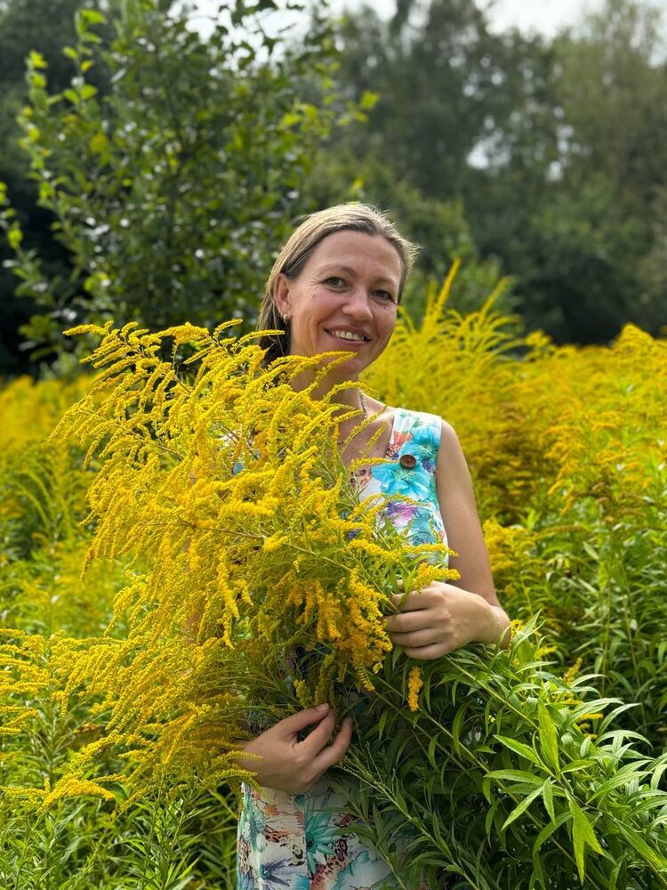 ���������� �����������, ���� ������� �������, 43 ����, ������������ ��� c�������� ���������, ���������