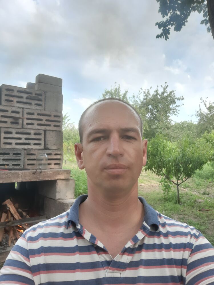  23767724  , 44 ,    