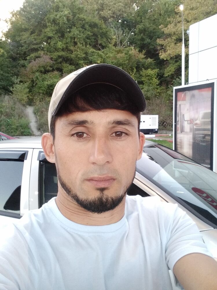 ���� 31305434 ������� ����, 33 ����, ���� ���������� � �������������