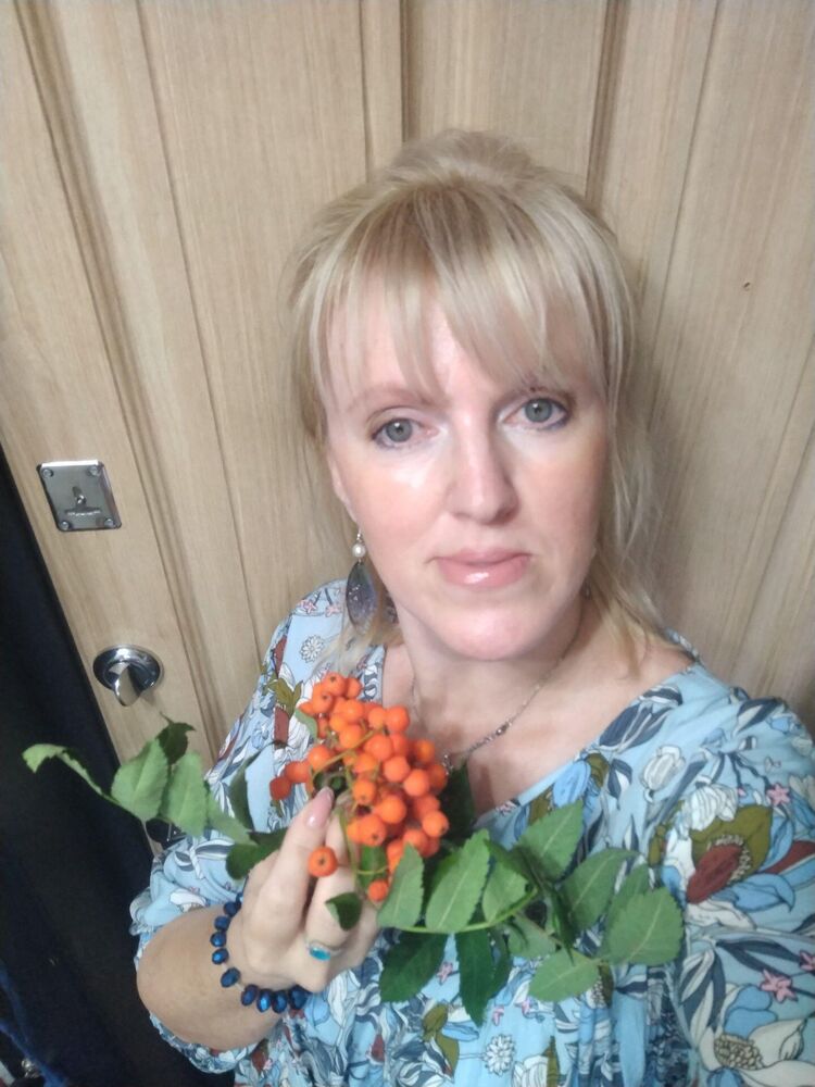  54008484  , 48 ,    -