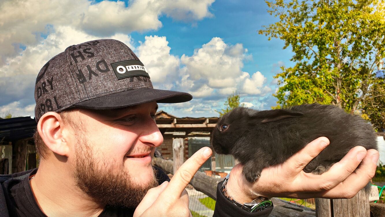 ���������� �������, ���� ������� ��������, 42 ����, ������������ ��� c�������� ���������