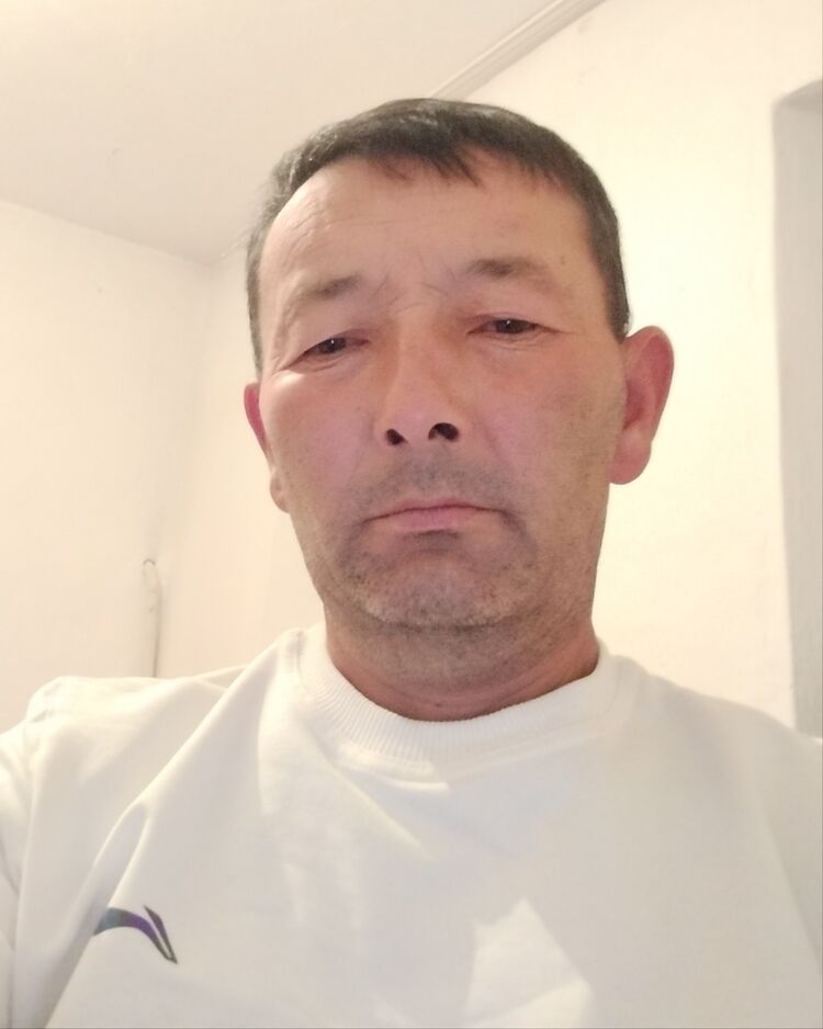  50560414  , 46 ,    
