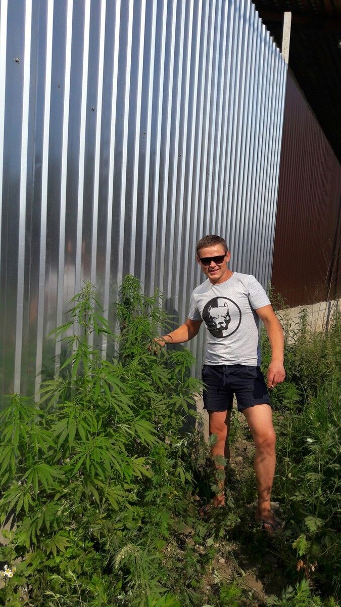 ���� 8481914 ������� �����, 37 ���, ���� ���������� � �������