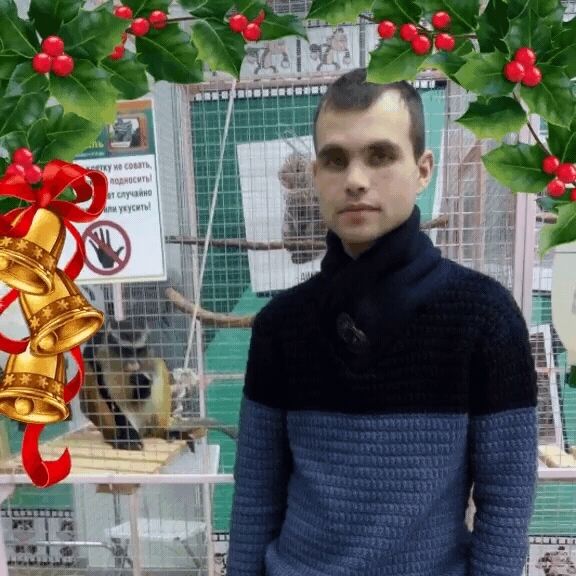 ���� 31224454 ������� ����, 36 ���, ���� ���������� � ����������