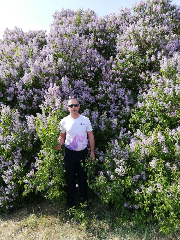 ���� 55568574 ������� ������, 55 ���, ���� ���������� � ������