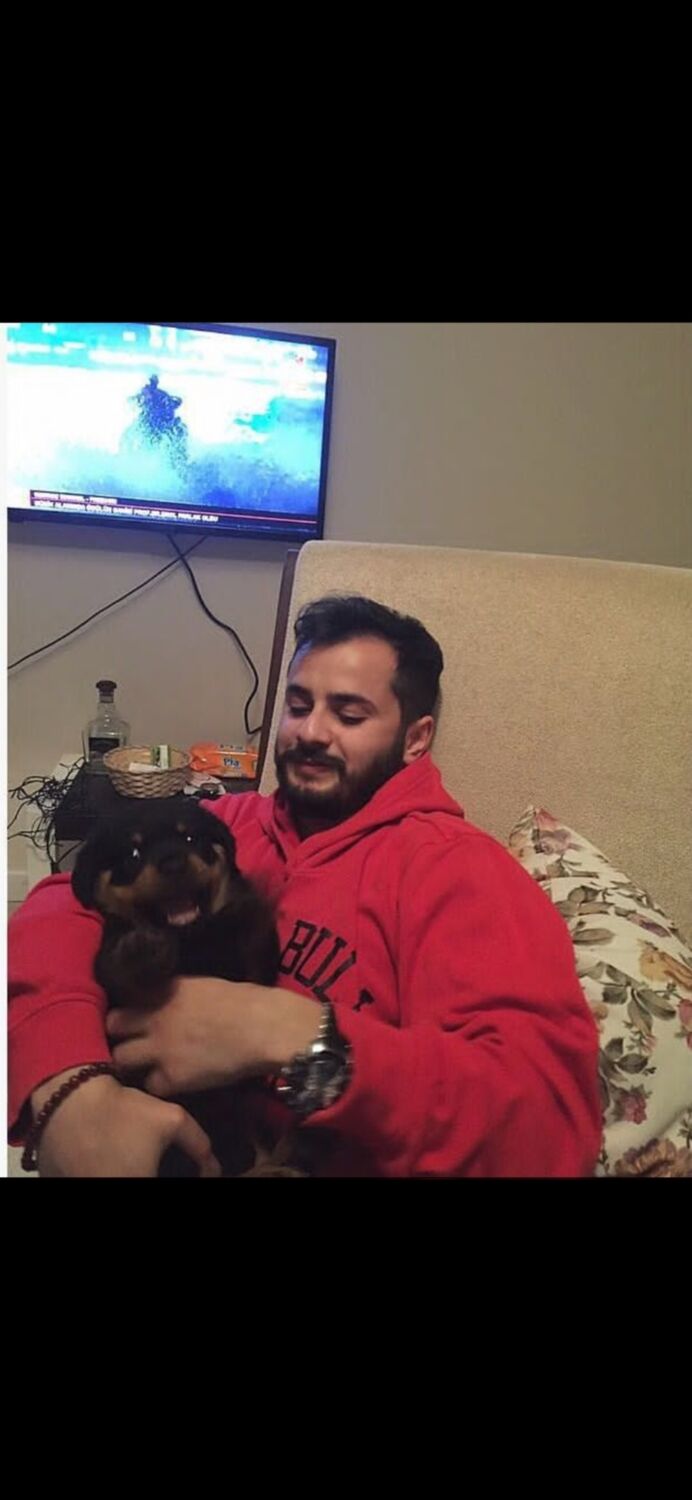 ���� 54210804 ������� ����, 33 ����, ���� ���������� � ���������