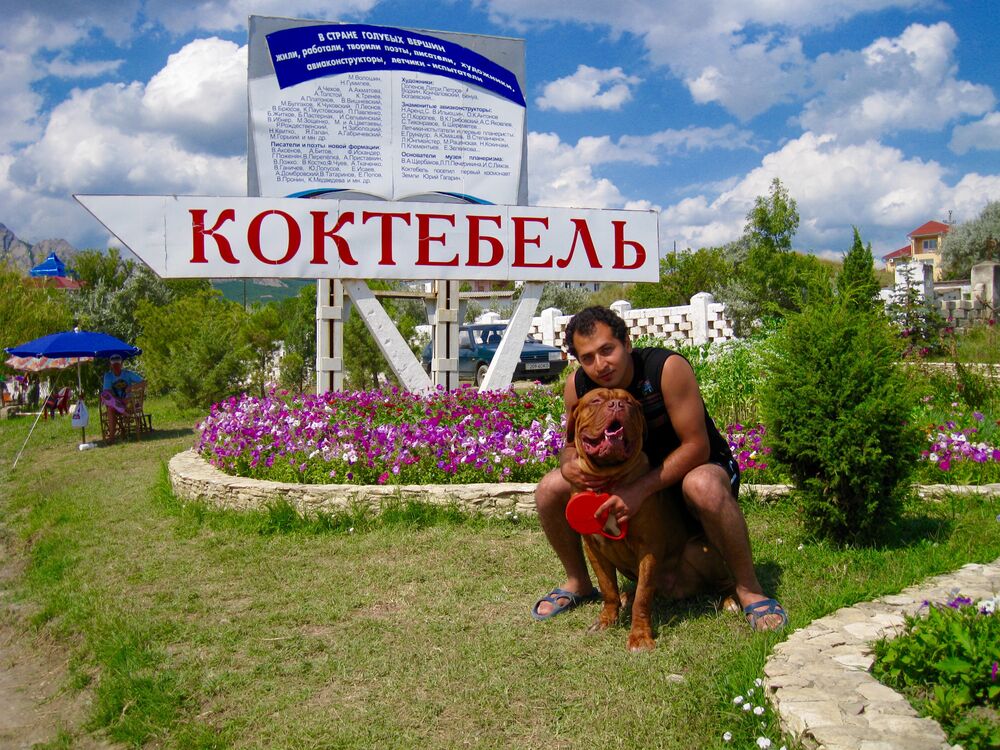  ,   Soheil, 43 ,   ,   , c , 