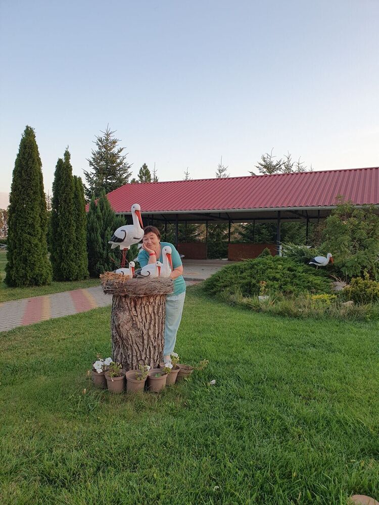  45917144  , 63 ,    