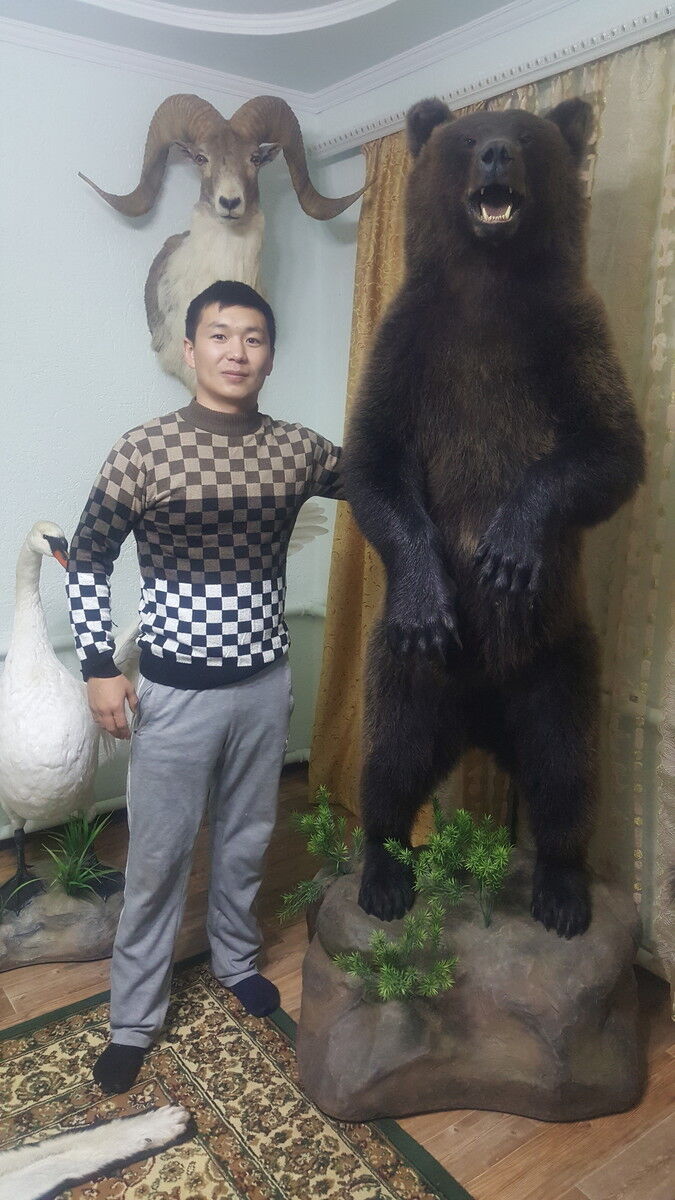 ���� 16902464 ������� ���, 31 ���, ���� ���������� � ���������