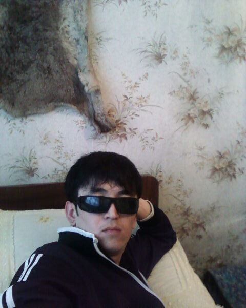  29920074  , 39 ,    