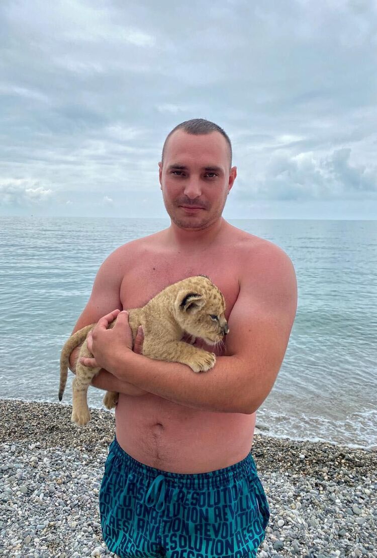 ���� 26619234 ������� ������, 29 ���, ���� ���������� � ����������