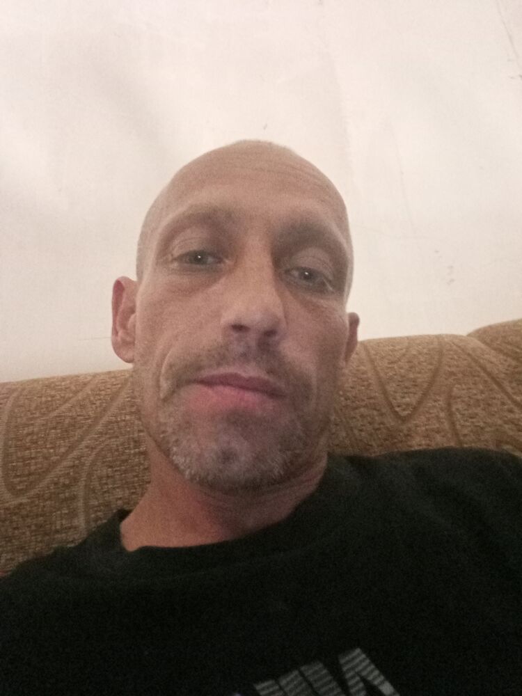  44589504  , 44 ,    