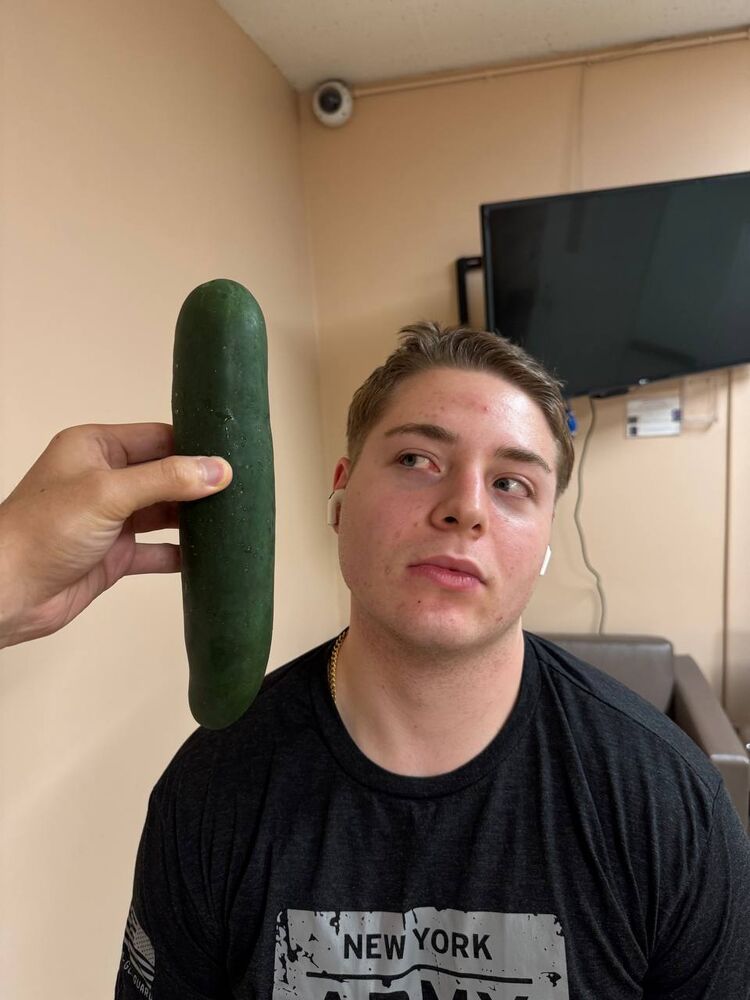  51530644  , 21 ,    -