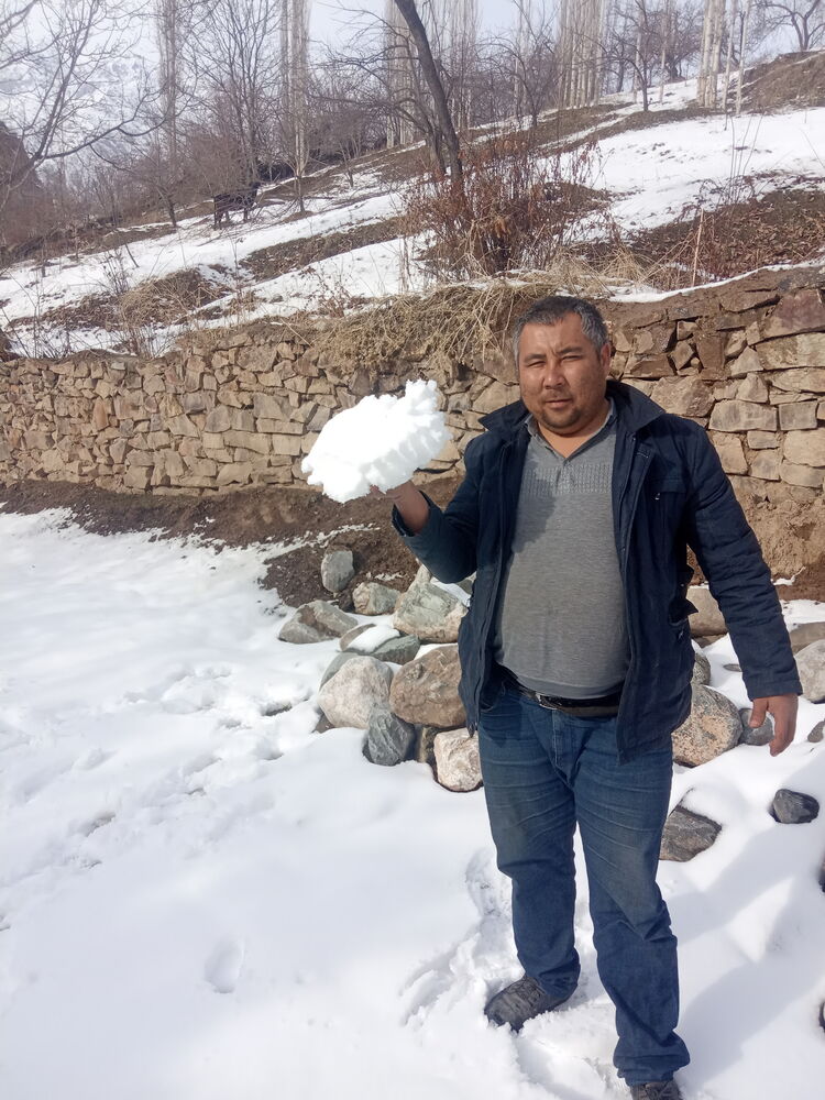 ���� 28200494 ������� �������, 43 ����, ���� ���������� � ������������