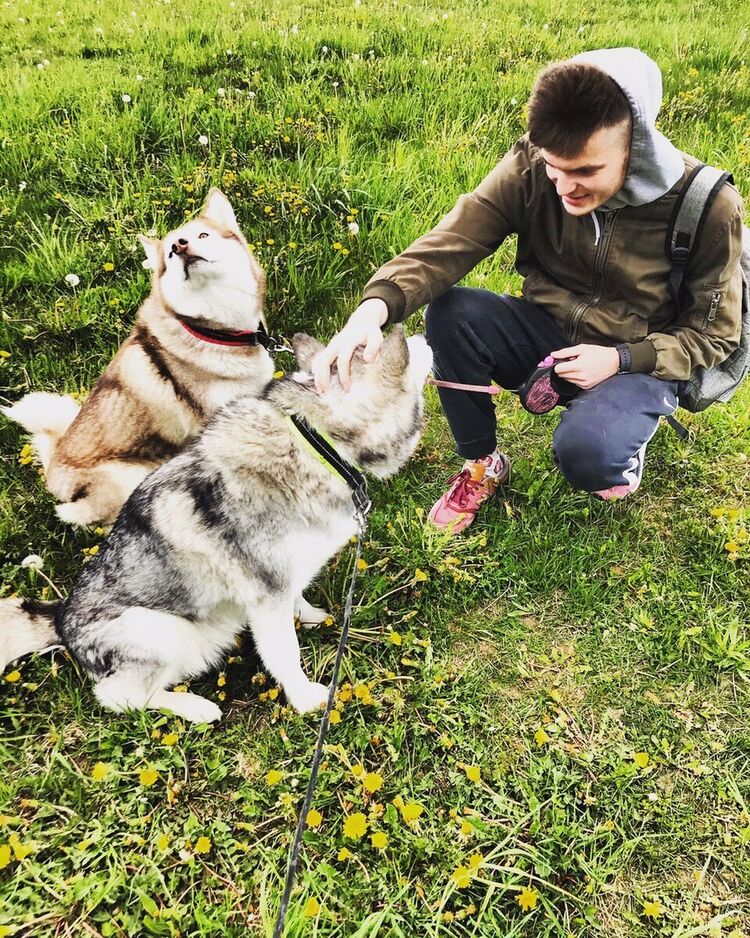 ���� 19936054 ������� �������, 31 ���, ���� ���������� � ������