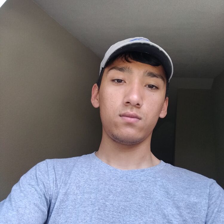 ���� 37231054 ����� ���������, 22 ����, ���� ���������� � �������������