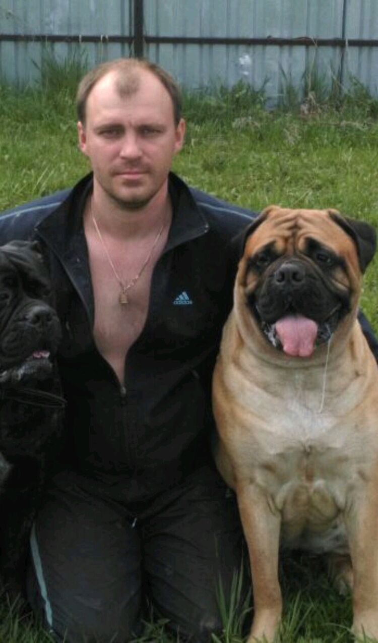  28524104  , 44 ,    -