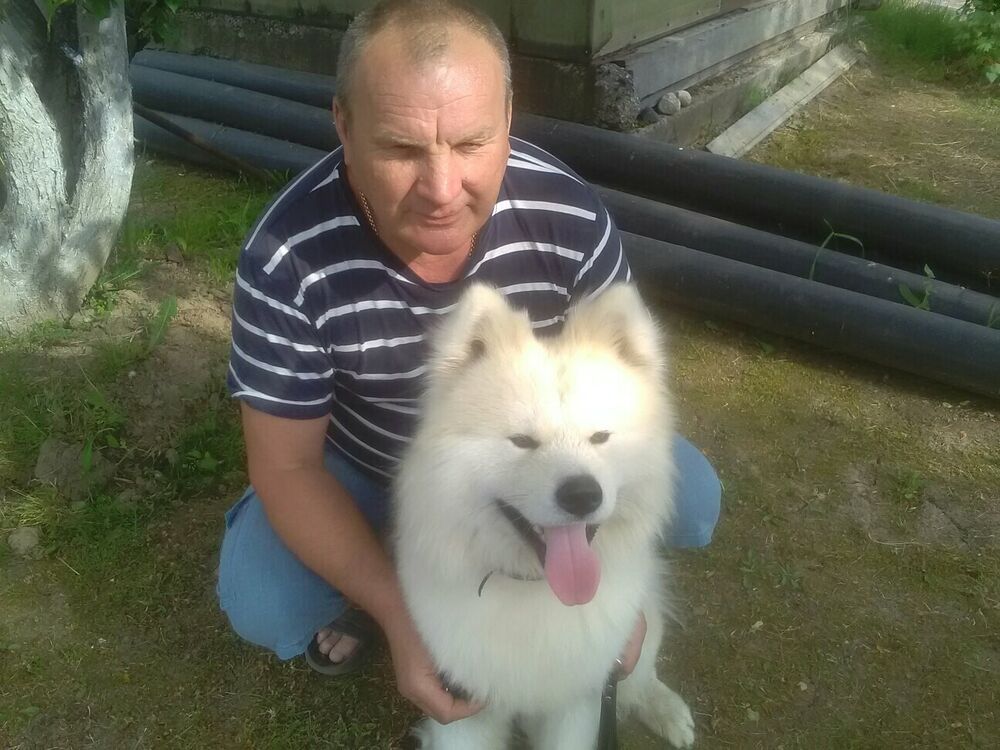 ���� 55537964 ������� ������, 55 ���, ���� ���������� � �������