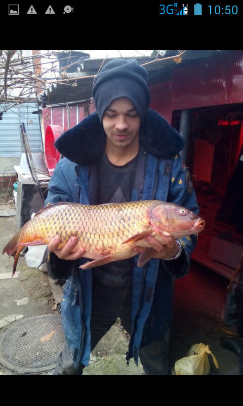 ���� 7882234 ������� ����, 38 ���, ���� ���������� � ����������