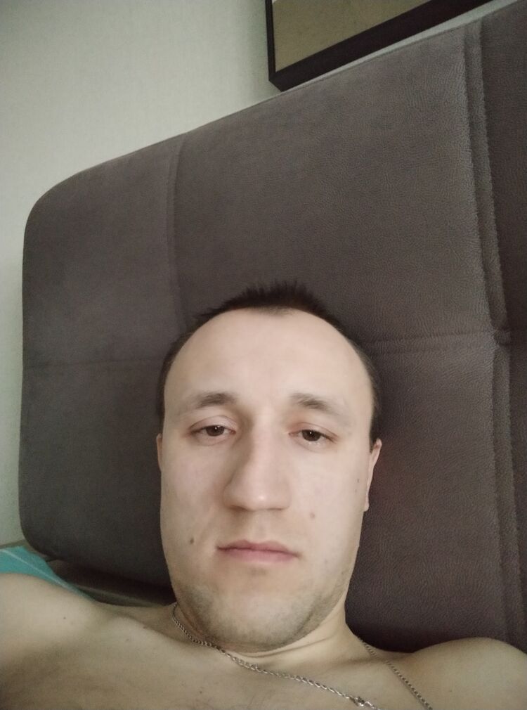  24565944  , 41 ,    