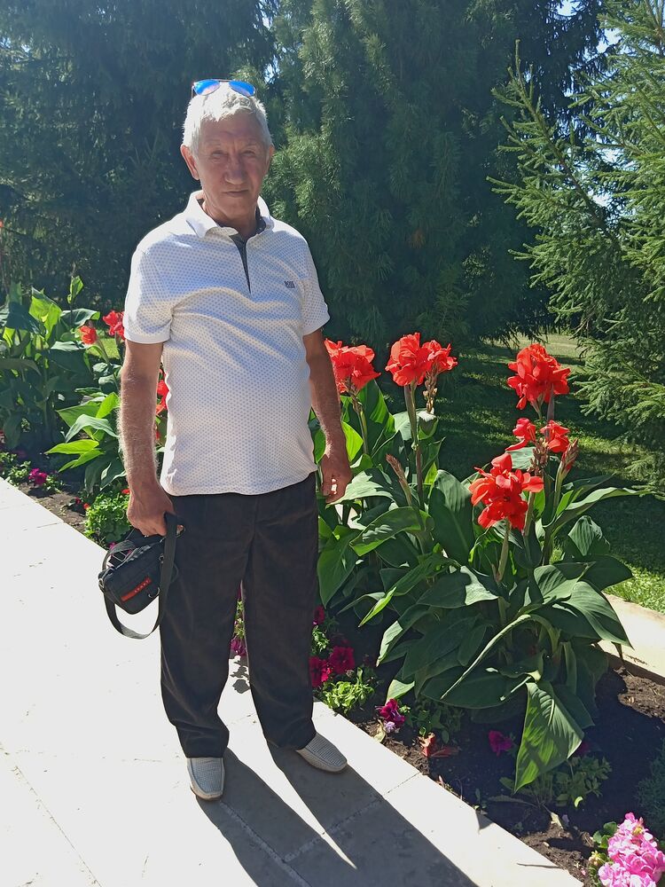  49150984  Infinix, 60 ,    