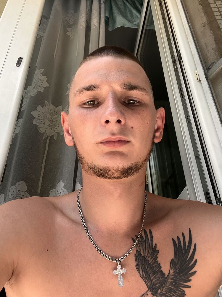  52931244  , 23 ,    