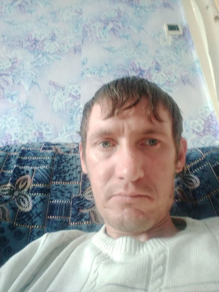  33785604  , 33 ,    