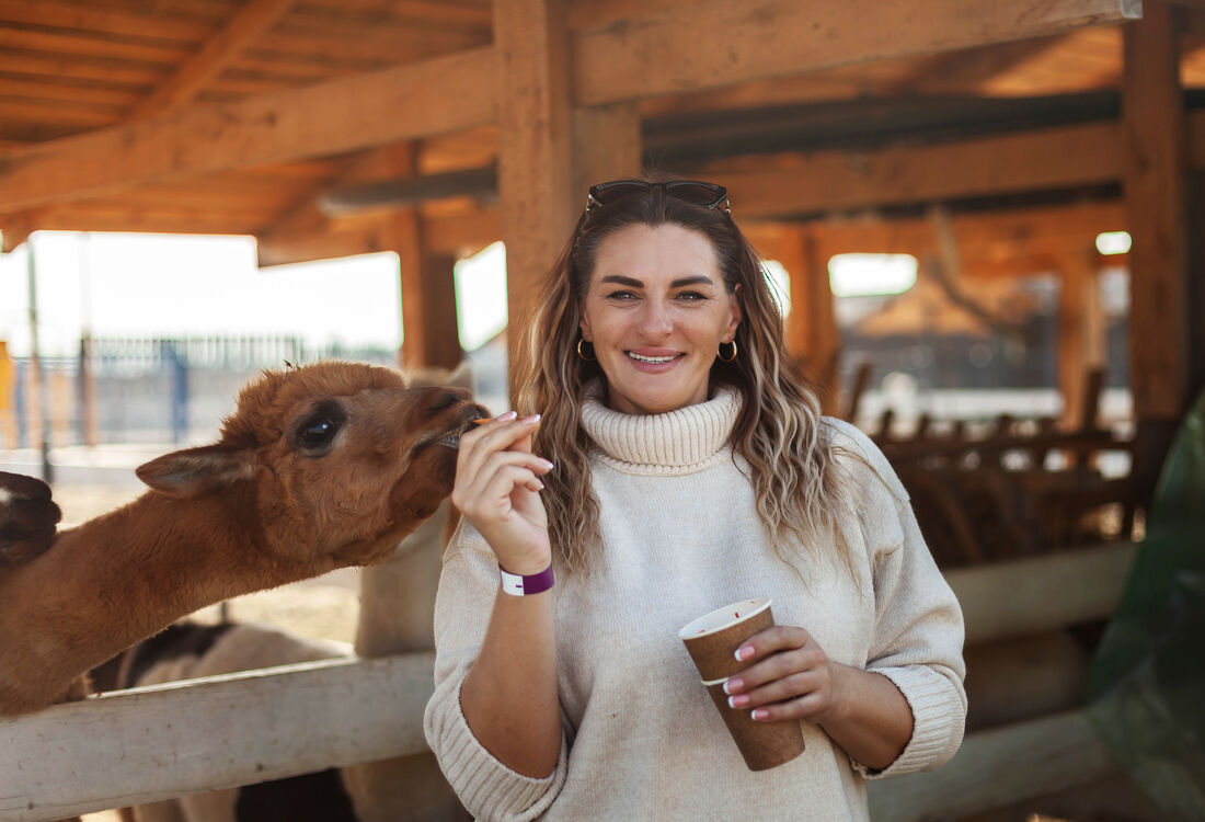 ���� 54433484 ������� �������, 48 ���, ���� ���������� � ����������