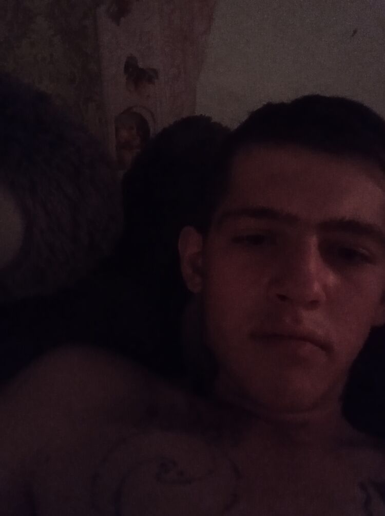  28804394  , 23 ,    