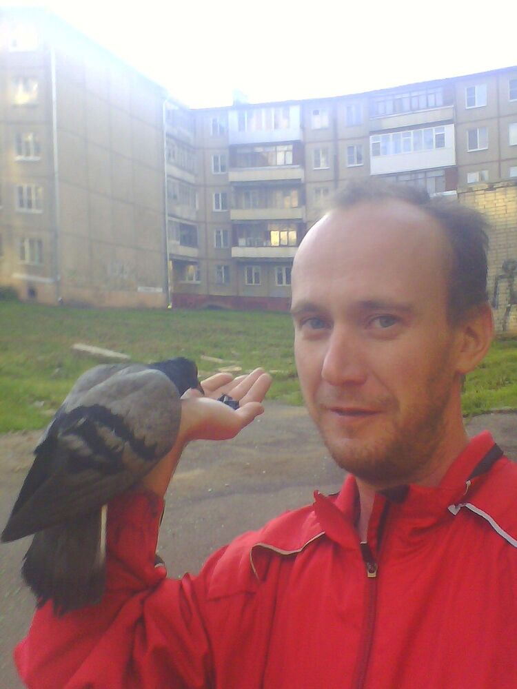 ���� 7137604 ������� Lexsa, 33 ����, ���� ���������� � ���������