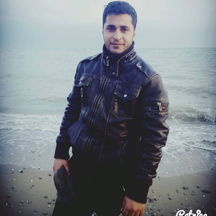 ���������� ��������, ���� ������� Dann, 31 ���, ������������ ��� ������, ����� � ���������, c�������� ���������, ���������