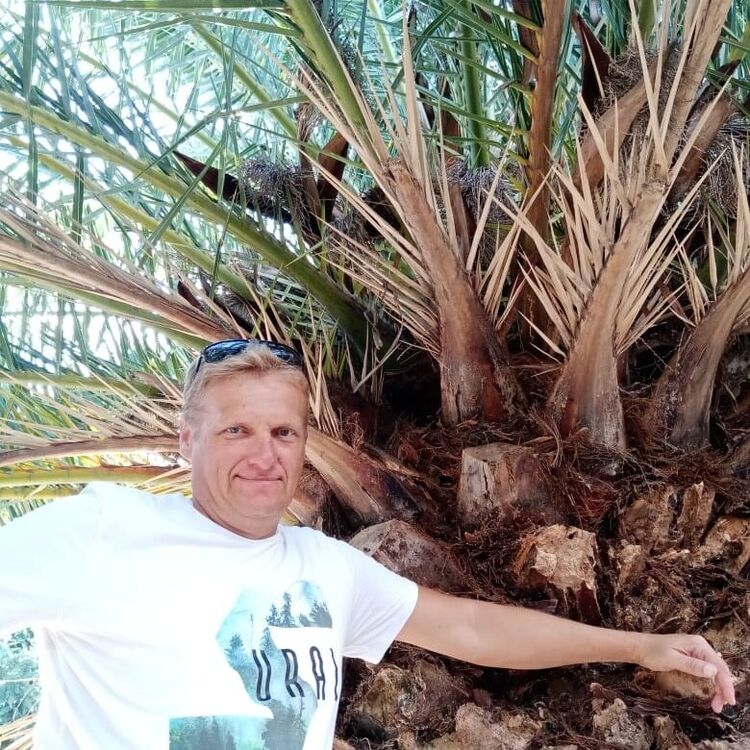  ,   , 53 ,  