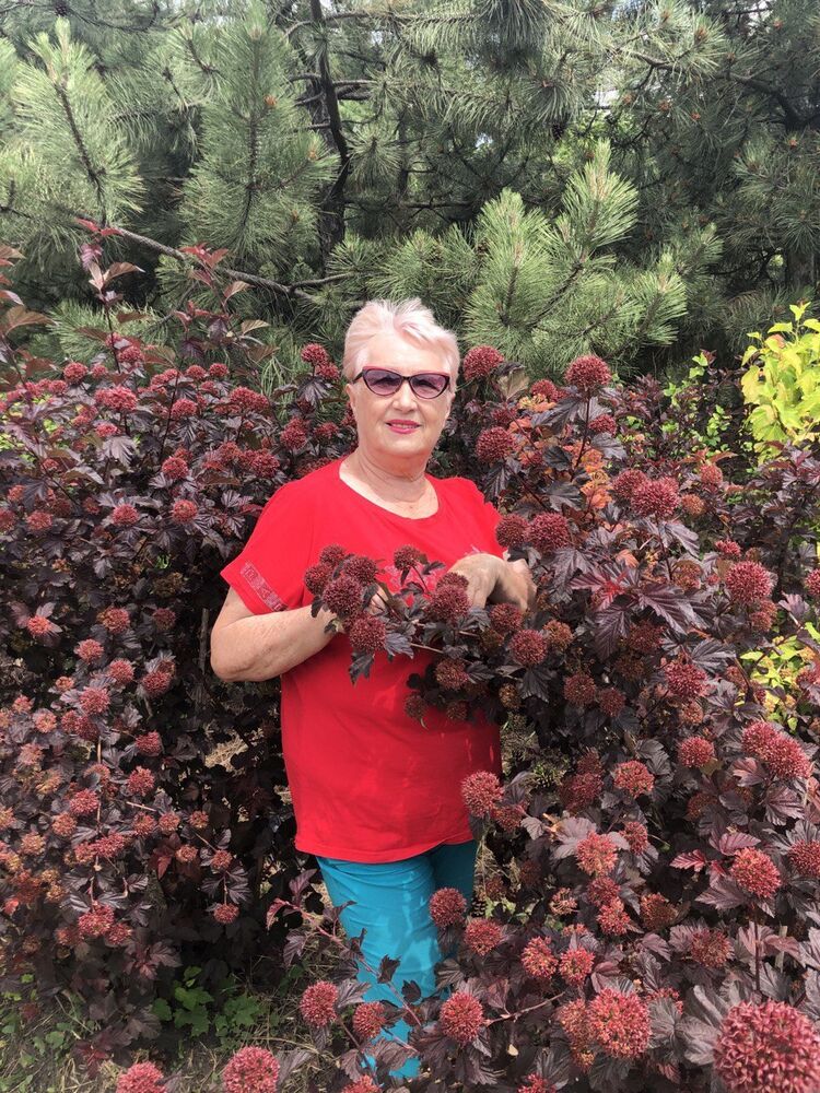 ���� 55904994 ������� ����, 70 ���, ���� ���������� � �������